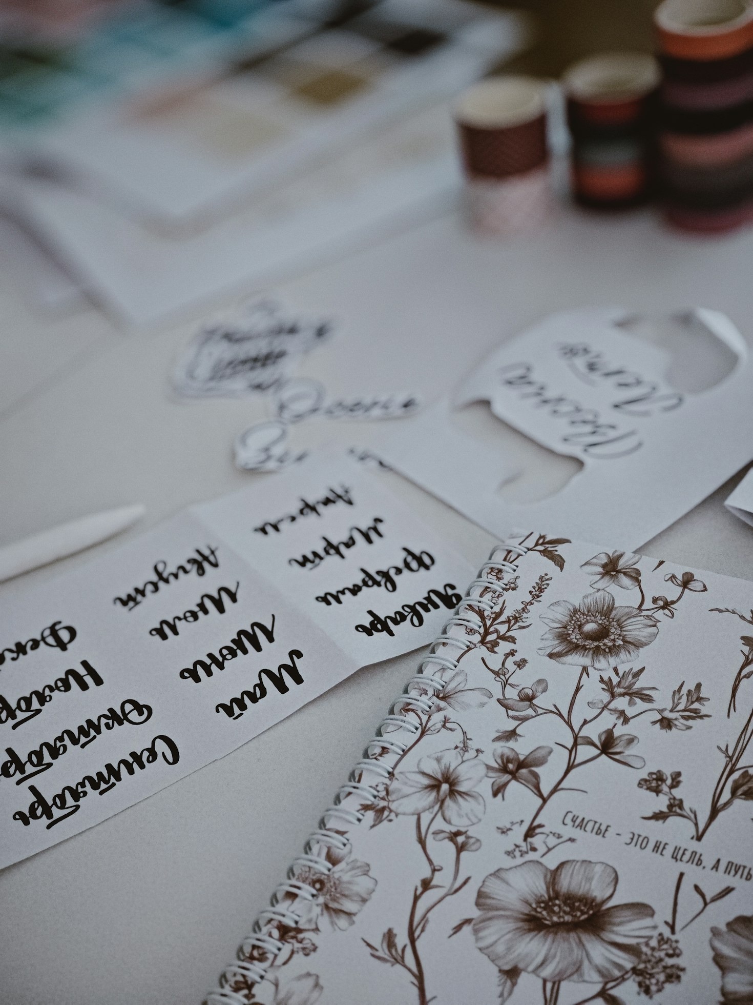 3 Signs It’s Time for the First Pets Dental Cleaning